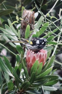 514718078 4276892265973790 8051005313664455887 n