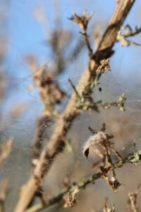 514771946 2208795149533961 3140958555066141128 n