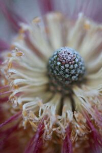 515237681 3246582322161000 4951571766897703509 n