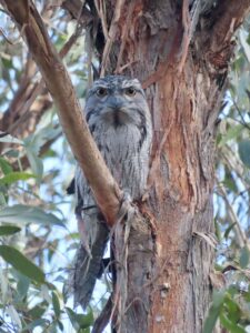 516449778 570760622775292 2500307053058536760 n