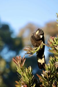 518732856 1082432099974839 2959506306858438254 n